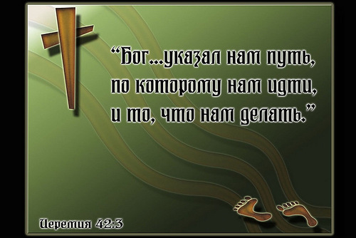 0_b71f5_4a43cdcb_L (500x334, 55Kb)