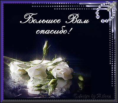 - (13) (400x350, 154Kb)
