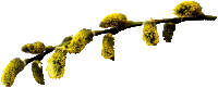 85742886_4e6a176c950a (200x81, 5Kb)