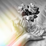 2620530_dollo (150x150, 9Kb)