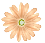  FM-BT-Summerfun-Element-53 (511x487, 268Kb)