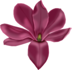  FM-Famous-Element-23 (462x446, 172Kb)
