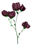  FM-Famous-Element-72 (469x681, 146Kb)