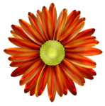  FM-Fanfare-Element-9 (385x389, 180Kb)