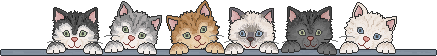 2971058_ (437x56, 6Kb)