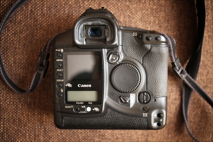 Canon EOS 1Ds 2 (700x466, 429Kb)