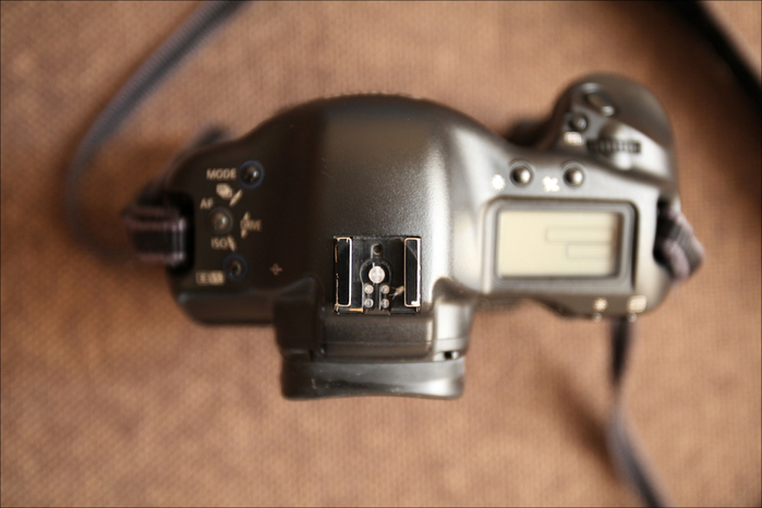 Canon EOS 1Ds 4 (700x466, 301Kb)