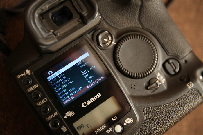 Canon EOS 1Ds 9 (700x466, 395Kb)