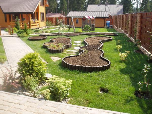 С кем можно сажать лук С кем можно сажать лук