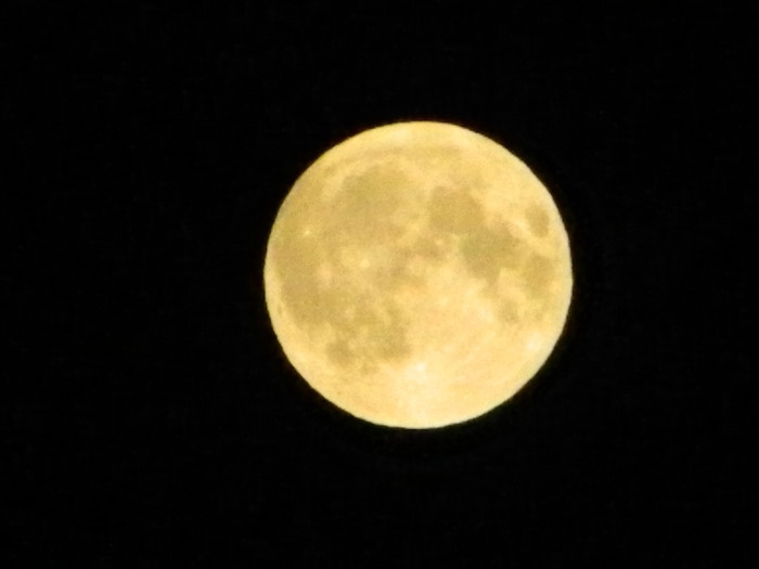 DSCN0575 (700x525, 31Kb)