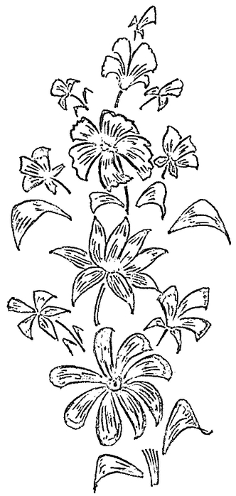 flower_pattern28 (332x700, 100Kb)