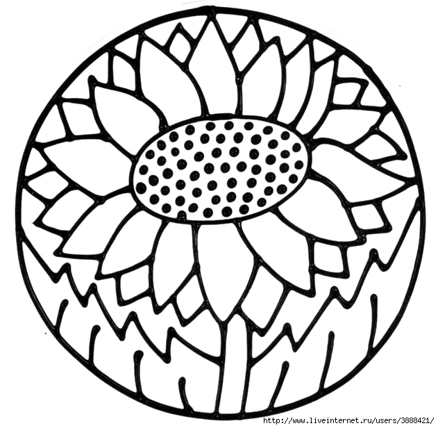 flower_sunflower (631x616, 189Kb)