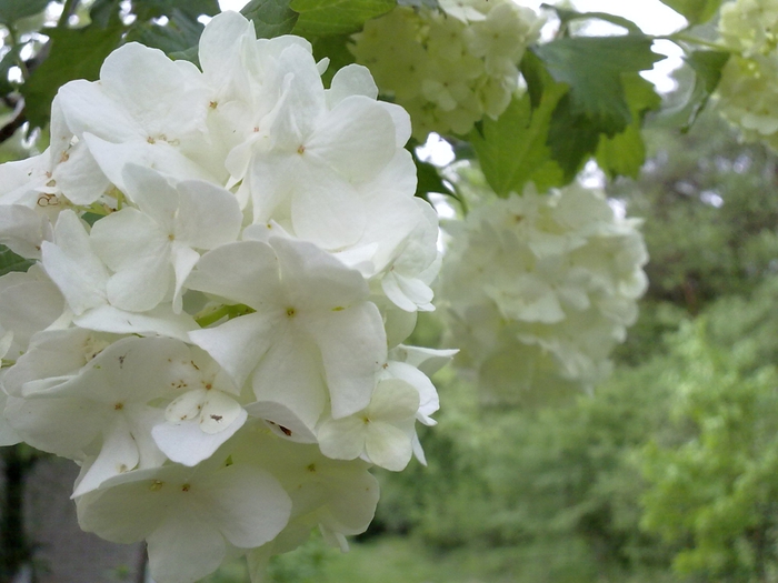 120520121709 (700x525, 237Kb)