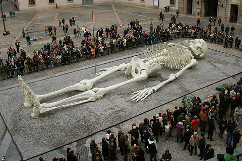 скелет Gino De Dominicis (480x320, 126Kb)