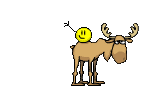 c22f6fd1538e973abcd64e7d6b7eb0a0 (146x88, 44Kb)