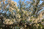 IMG_9400 (700x465, 648Kb)