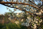  IMG_9410 (700x465, 539Kb)