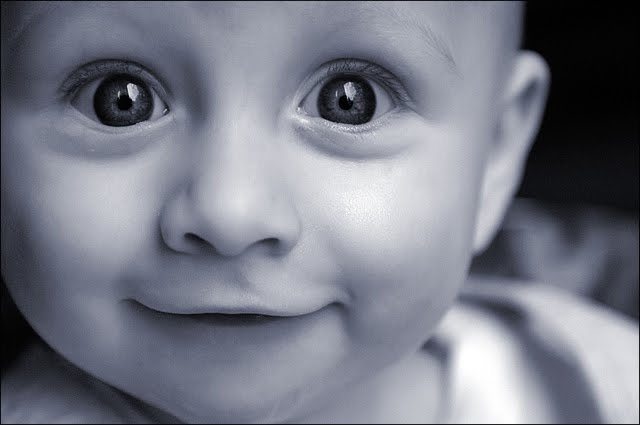 11 (640x425, 22Kb)
