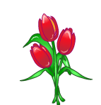 тюльпан1 (143x148, 9Kb)