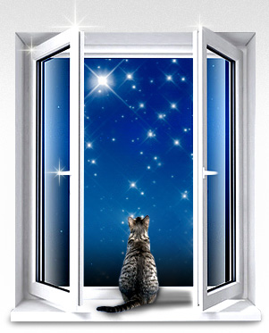 window (301x373, 39Kb)