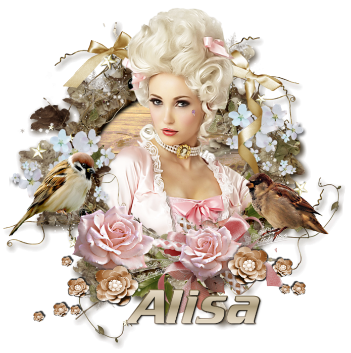 http://img0.liveinternet.ru/images/attach/c/5/87/573/87573088_0_77358_fe6cc437_XL51.png