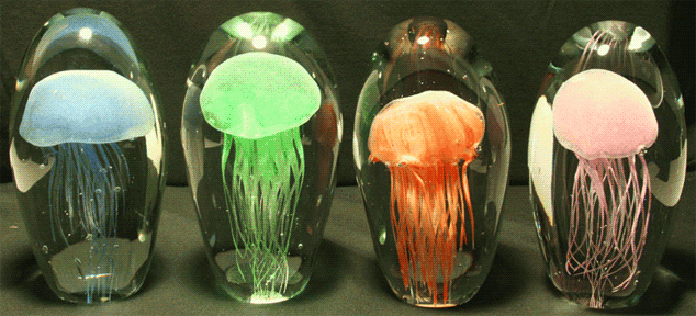 3810115_bioluminescence_20120312_634x288 (634x288, 211Kb)