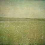  CG_SD meadow by bryanna_paper03 (700x700, 568Kb)
