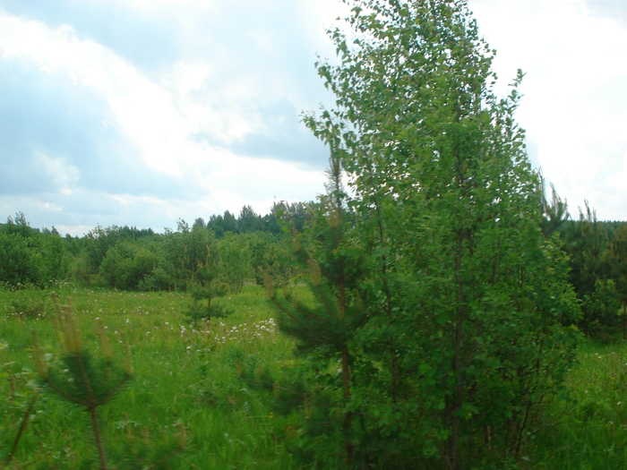 DSC08018 (700x525, 278Kb)
