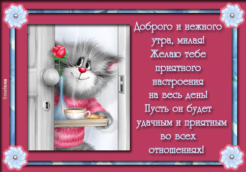 Приятные поздравления для девушки проза Приятные поздравления для девушки проза
