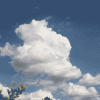 86718383_3749748_tumblr_licelpVslZ1qcgu4io1_500 (100x100, 90Kb)