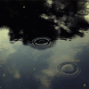 86727608_3749748_tumblr_lpq59glCNv1qfdwsio1_500 (100x100, 28Kb)