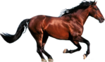      (9) (700x412, 252Kb)