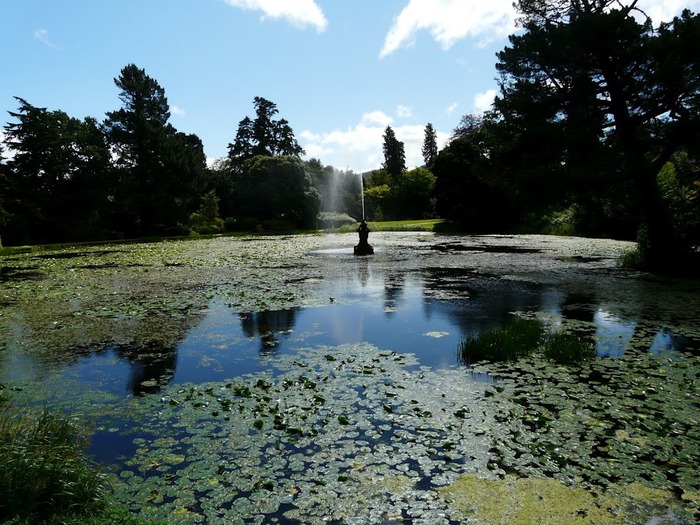 Powerscourt Gardens -Сад Пауэрскоурт . 54172