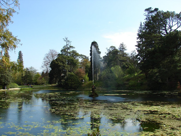 Powerscourt Gardens -Сад Пауэрскоурт . 87044