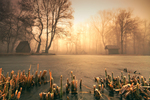  1334129003_24 (700x466, 412Kb)