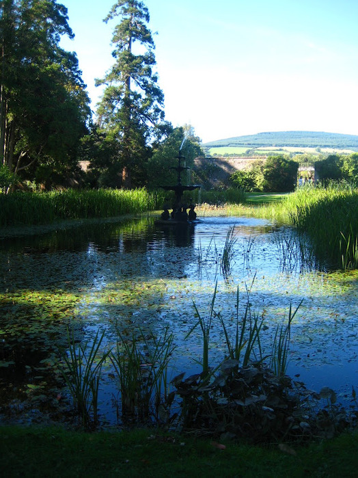 Powerscourt Gardens -Сад Пауэрскоурт . 21371