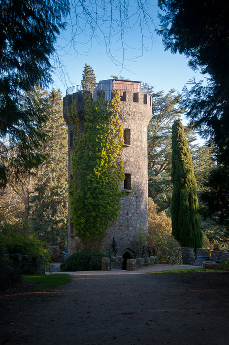 Powerscourt Gardens -Сад Пауэрскоурт . 38391