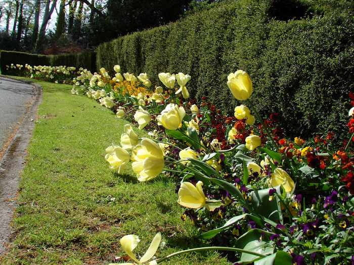 Powerscourt Gardens -Сад Пауэрскоурт . 71509