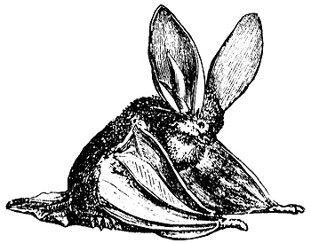 4708301248_dbbd152e5a (350x274, 39Kb)