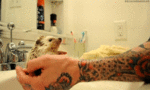  tumblr_m4w959hhzE1rx047ro1_500 (500x300, 750Kb)