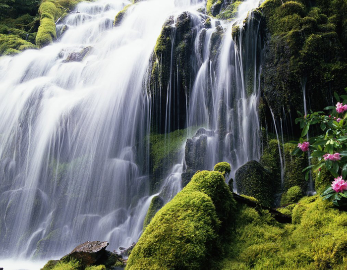 hawaiian_falls_by_darkraidiety-d36nanp (700x545, 672Kb)