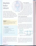  Digitalizar0026 (398x512, 59Kb)