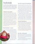  Digitalizar0101 (402x512, 74Kb)