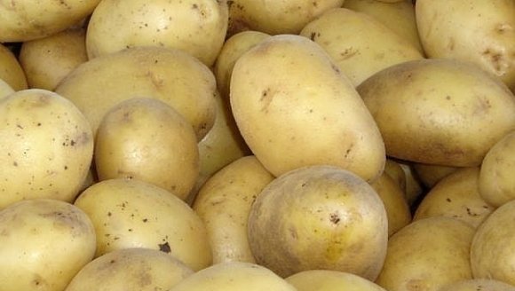 питание леовит худеем за неделю питание леовит худеем за неделю