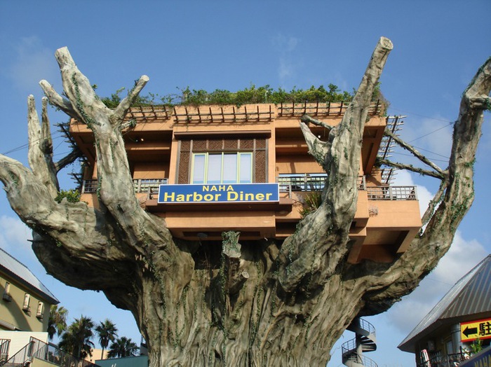 ресторан на дереве фото (700x524, 139Kb)