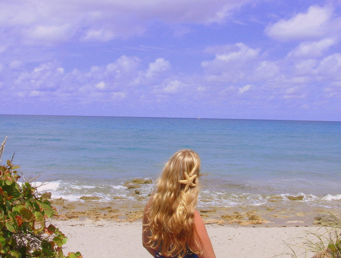 3890385_il_fullxfull_247118857 (700x529, 83Kb)
