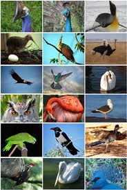 images (184x274, 14Kb)