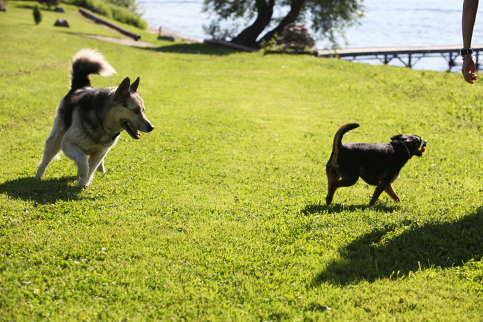 IMG_9829 (25) (700x467, 233Kb)