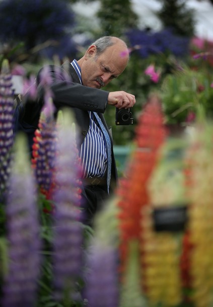 Крупнейшее садоводническое шоу в Великобритании 'Hampton Court Palace Flower Show', 03-08 июля 2012 года