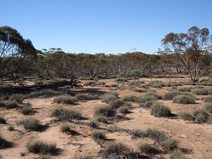 Национальный Парк Манго - Mungo National Park 81248